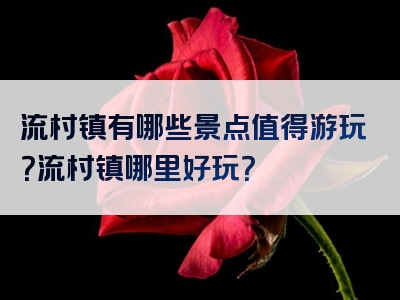 流村镇有哪些景点值得游玩？流村镇哪里好玩？