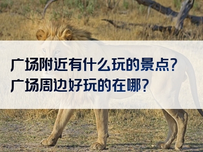 广场附近有什么玩的景点？广场周边好玩的在哪？