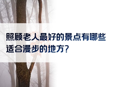 照顾老人最好的景点有哪些适合漫步的地方？