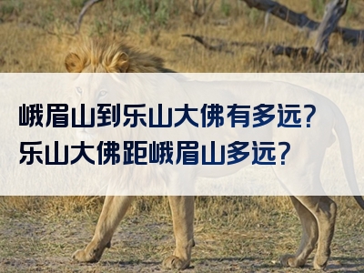 峨眉山到乐山大佛有多远？乐山大佛距峨眉山多远？