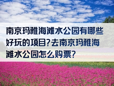 南京玛雅海滩水公园有哪些好玩的项目？去南京玛雅海滩水公园怎么购票？