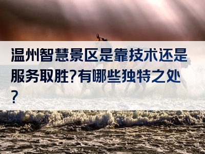 温州智慧景区是靠技术还是服务取胜？有哪些独特之处？
