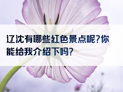辽沈有哪些红色景点呢？你能给我介绍下吗？