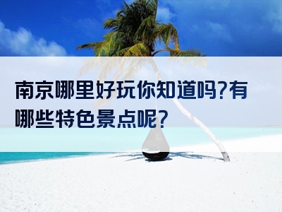 南京哪里好玩你知道吗？有哪些特色景点呢？