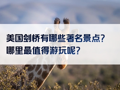 美国剑桥有哪些著名景点？哪里最值得游玩呢？