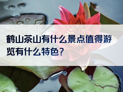 鹤山茶山有什么景点值得游览有什么特色？