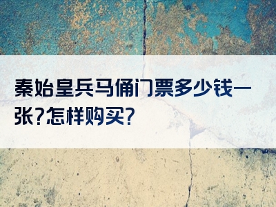秦始皇兵马俑门票多少钱一张？怎样购买？