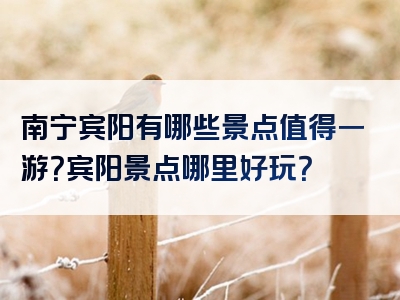 南宁宾阳有哪些景点值得一游？宾阳景点哪里好玩？