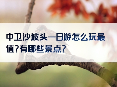 中卫沙坡头一日游怎么玩最值？有哪些景点？
