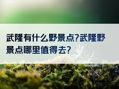 武隆有什么野景点？武隆野景点哪里值得去？