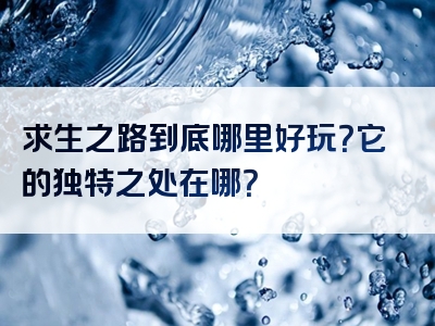 求生之路到底哪里好玩？它的独特之处在哪？
