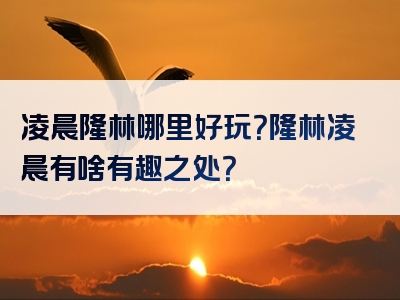 凌晨隆林哪里好玩？隆林凌晨有啥有趣之处？