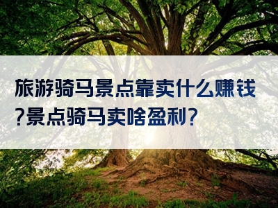 旅游骑马景点靠卖什么赚钱？景点骑马卖啥盈利？