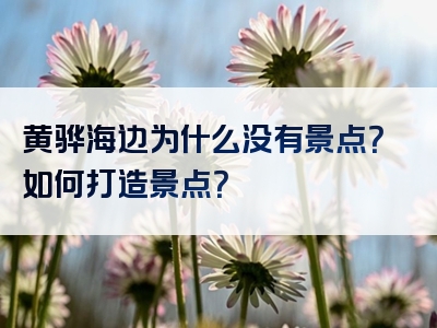黄骅海边为什么没有景点？如何打造景点？