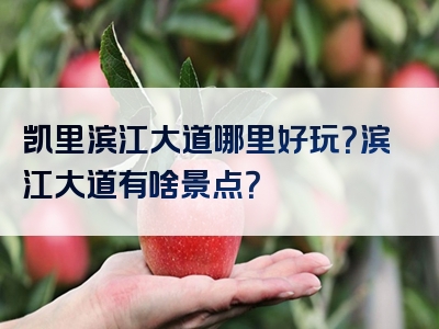 凯里滨江大道哪里好玩？滨江大道有啥景点？
