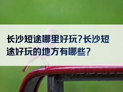 长沙短途哪里好玩？长沙短途好玩的地方有哪些？