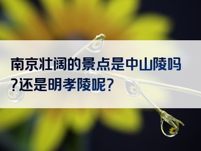 南京壮阔的景点是中山陵吗？还是明孝陵呢？