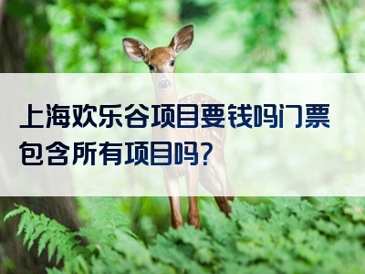 上海欢乐谷项目要钱吗门票包含所有项目吗？