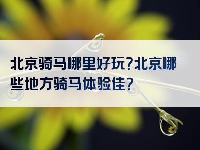 北京骑马哪里好玩？北京哪些地方骑马体验佳？