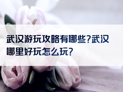 武汉游玩攻略有哪些？武汉哪里好玩怎么玩？
