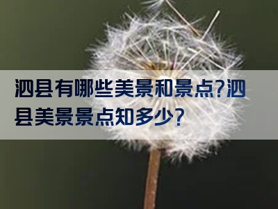 泗县有哪些美景和景点？泗县美景景点知多少？