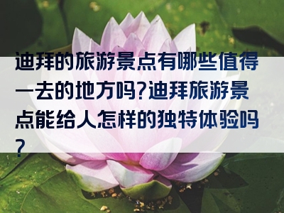 迪拜的旅游景点有哪些值得一去的地方吗？迪拜旅游景点能给人怎样的独特体验吗？