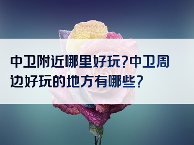 中卫附近哪里好玩？中卫周边好玩的地方有哪些？