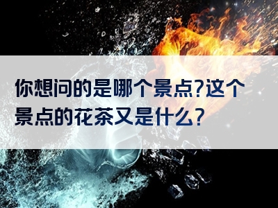 你想问的是哪个景点？这个景点的花茶又是什么？