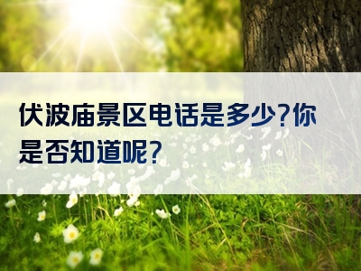 伏波庙景区电话是多少？你是否知道呢？