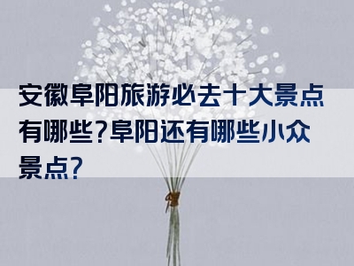 安徽阜阳旅游必去十大景点有哪些？阜阳还有哪些小众景点？