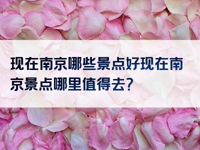 现在南京哪些景点好现在南京景点哪里值得去？