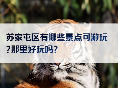苏家屯区有哪些景点可游玩？那里好玩吗？