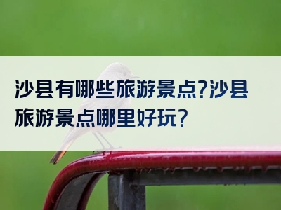 沙县有哪些旅游景点？沙县旅游景点哪里好玩？