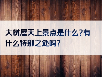 大树屋天上景点是什么？有什么特别之处吗？