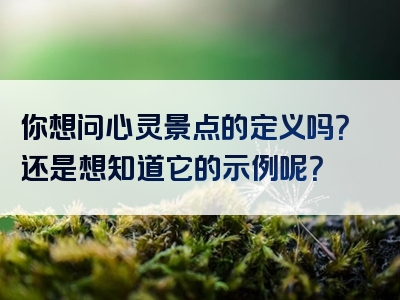 你想问心灵景点的定义吗？还是想知道它的示例呢？