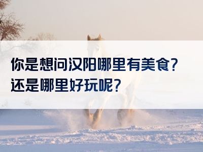 你是想问汉阳哪里有美食？还是哪里好玩呢？