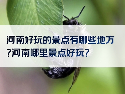 河南好玩的景点有哪些地方？河南哪里景点好玩？