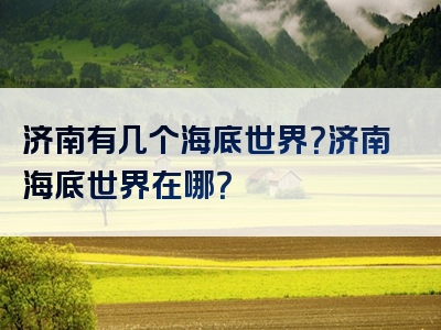 济南有几个海底世界？济南海底世界在哪？