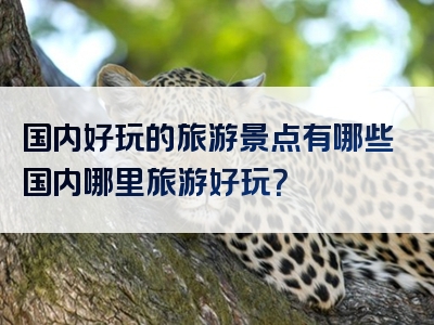 国内好玩的旅游景点有哪些国内哪里旅游好玩？