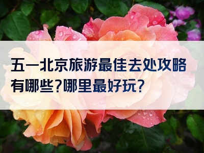 五一北京旅游最佳去处攻略有哪些？哪里最好玩？