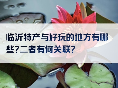 临沂特产与好玩的地方有哪些？二者有何关联？