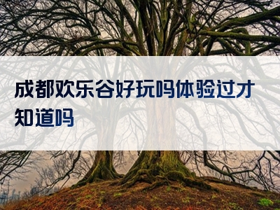 成都欢乐谷好玩吗体验过才知道吗