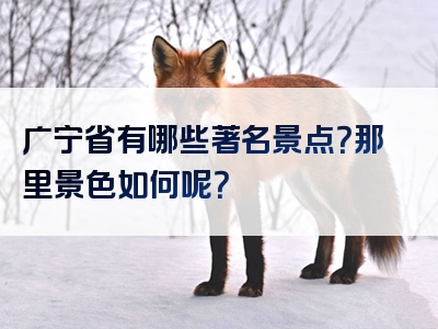 广宁省有哪些著名景点？那里景色如何呢？