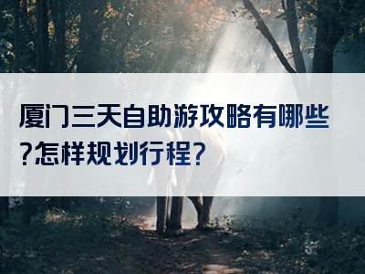 厦门三天自助游攻略有哪些？怎样规划行程？
