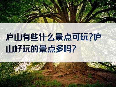 庐山有些什么景点可玩？庐山好玩的景点多吗？