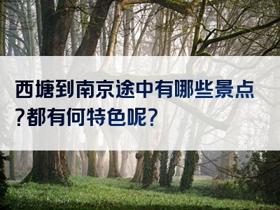 西塘到南京途中有哪些景点？都有何特色呢？