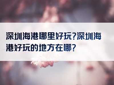深圳海港哪里好玩？深圳海港好玩的地方在哪？