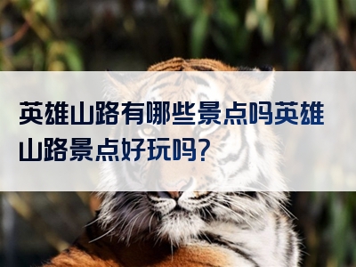 英雄山路有哪些景点吗英雄山路景点好玩吗？