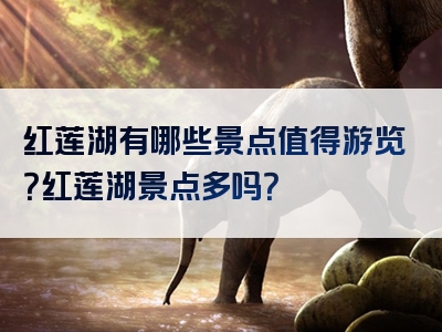 红莲湖有哪些景点值得游览？红莲湖景点多吗？