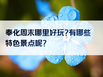 奉化周末哪里好玩？有哪些特色景点呢？
